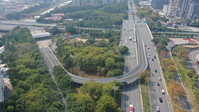 華快(kuài)新洲立交