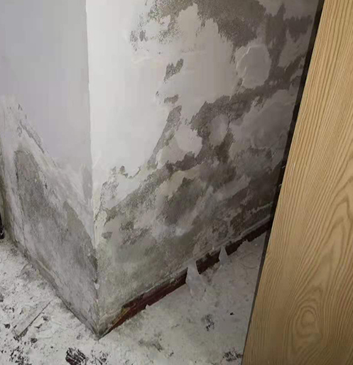 防水(shuǐ)補漏小(xiǎo)編告訴你(nǐ)牆體發黴原因 防水(shuǐ)補漏小(xiǎo)編告訴你(nǐ)牆體發黴原因